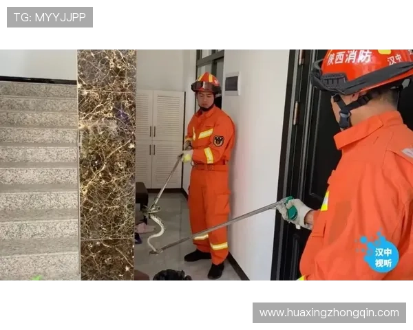 亚博YaBo网站安全保障措施，确保您的个人信息与资金安全无忧