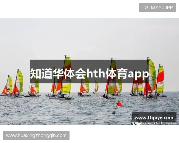 华体会全站登录：优化登录界面设计带来更流畅的使用体验