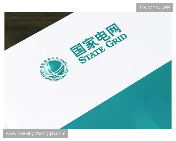 全面解析hth官网登录入口的安全保障措施，保障玩家账号信息安全